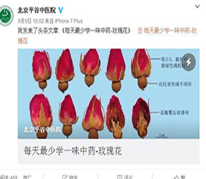 图片8.jpg