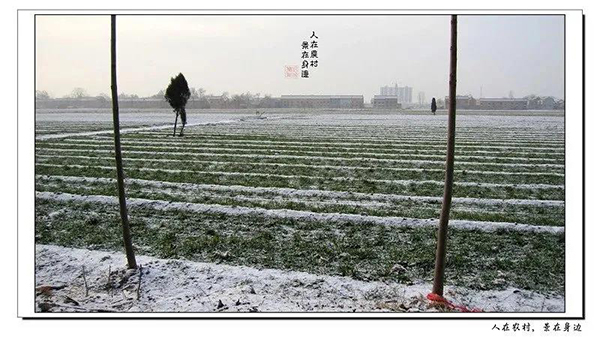 微信图片_20210210095641.jpg